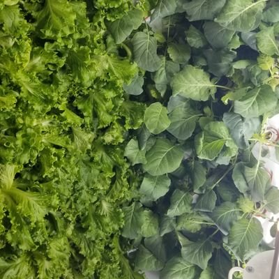 taherfdschools's profile picture. 