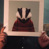 Aib (@badgerthinks) 's Twitter Profile