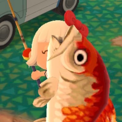 ど〜さんのプロフィール画像