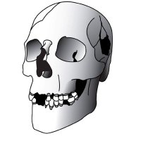 Laboratory for Human Osteoarchaeology (@osteolab_lu) 's Twitter Profile