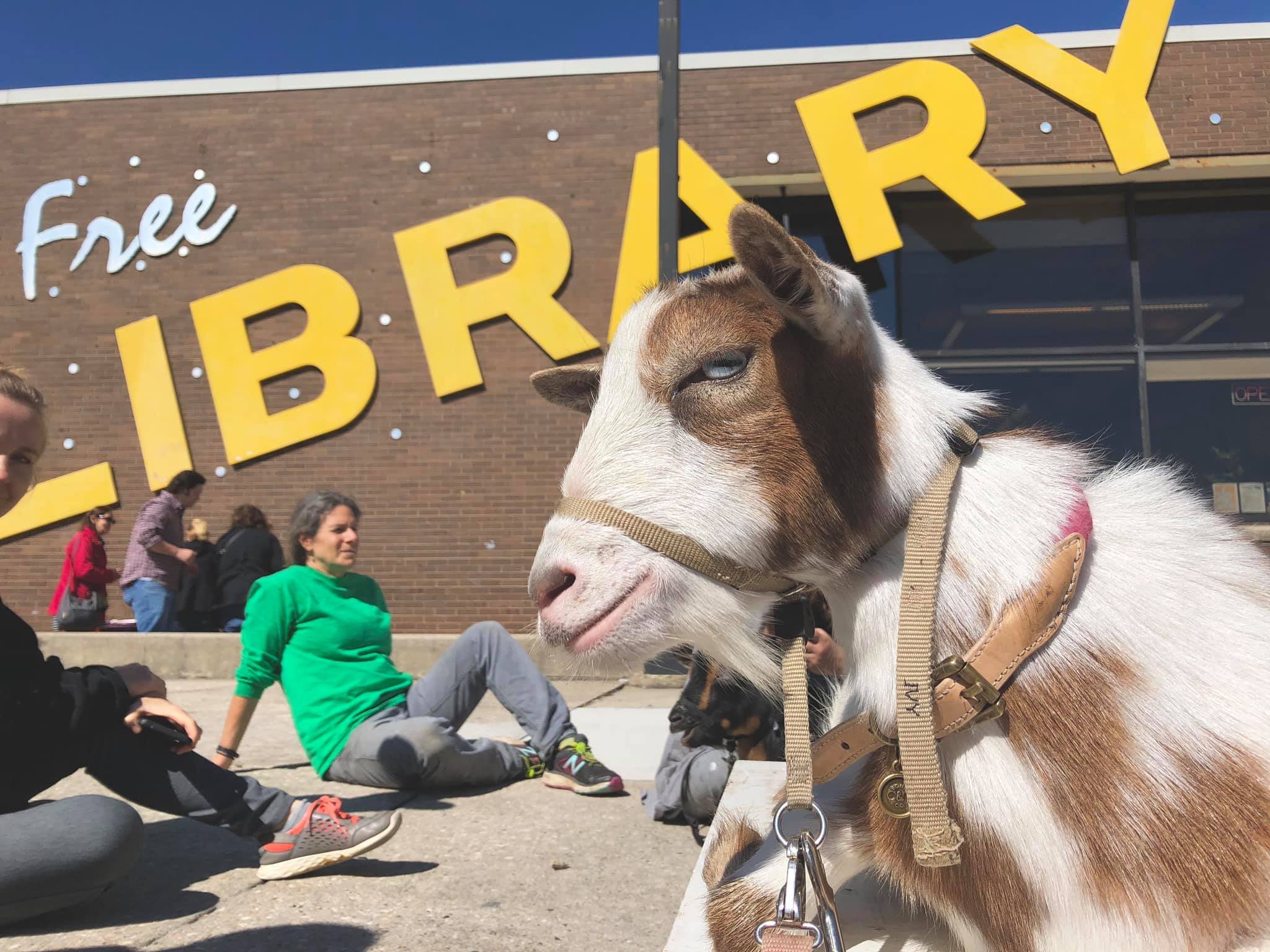 Andorra Library