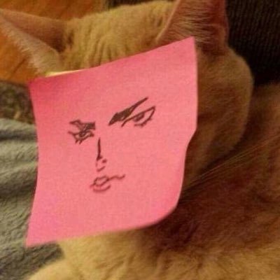 Meredith_Man's profile picture. 