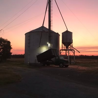 Farmer in PA farming 415 acres of corn and beans. Retired from living milk quality for a milk coop.