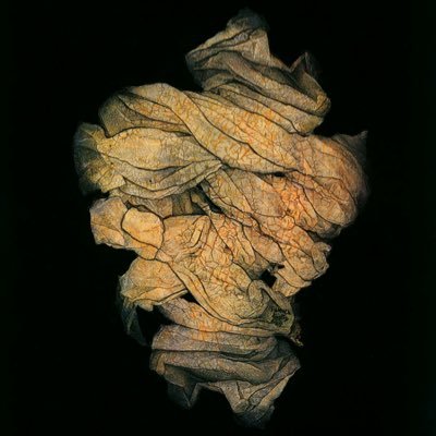 NeuroExotic's profile picture. 