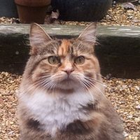 saintetienne (@saintetienne100) 's Twitter Profile Photo