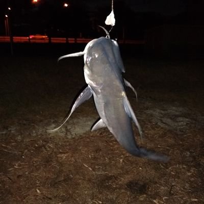 youhaveissues01's profile picture. Emotionally absent