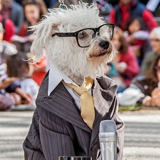 iraglass Profile Picture