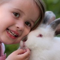 Pet Rabbit Guide(@PetRabbitGuide) 's Twitter Profile Photo