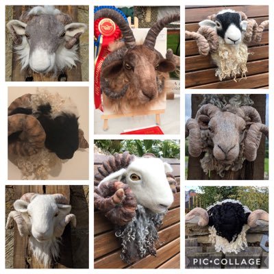Needle felting is our passion. Best friends for over 40 years and on a massive adventure. Needle felted animals and birds from British Wildlife and farming 💕