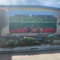 Amesti Elementary School (@ame_eagles) 's Twitter Profile