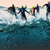 Triathlon Nutrition Co. (@triathlonnutri) 's Twitter Profile