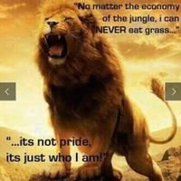 Jaycartel11's profile picture. My tweets are all about migration and what migrants go through in the hand of Libyans