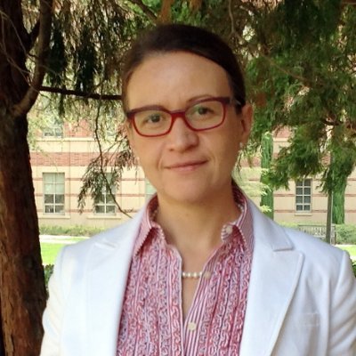 Professor of Education and Associate Dean of Equity, Diversity, and Inclusion at UCLA's Graduate School of Education and Information Studies