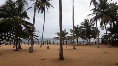 Laetiti69819225's profile picture. 