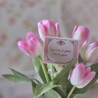 ~ نبـض الـهُـدى ~ (@o2000_h) 's Twitter Profile