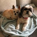 Ed Stevens - @EdSteve91984175 - Twitter