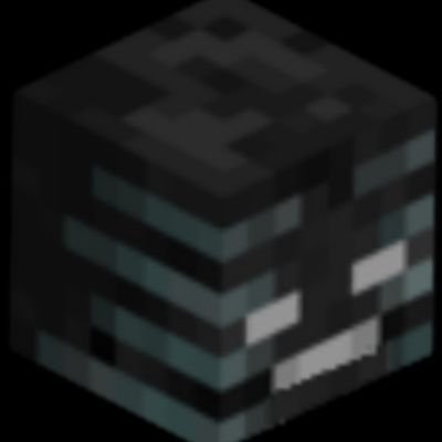 WitherKing001 Profile Picture