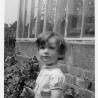 Alf Gill (@alfgill) 's Twitter Profile