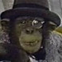 Steve Sirk (@stevesirk) 's Twitter Profile