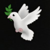 Nina Palacios (@ninapalacios19) 's Twitter Profile Photo Nina Palacios (@ninapalacios19) 's Twitter Profile Photo