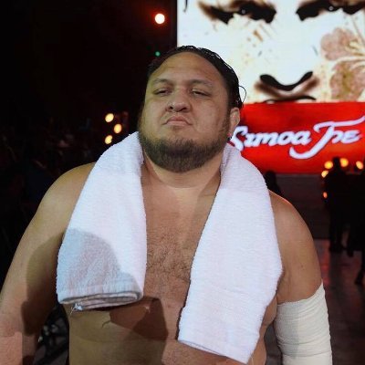 My name is Joe, I kick people for money. It's a pretty sweet gig. Perspective & Perseverance are prime in all things. IG: samoajoe_wwe