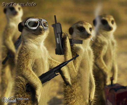 surikatu's profile picture. Сегодня первый день оставшейся тебе жизни