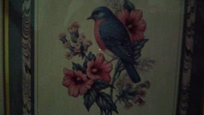 mayuagari's profile picture. 