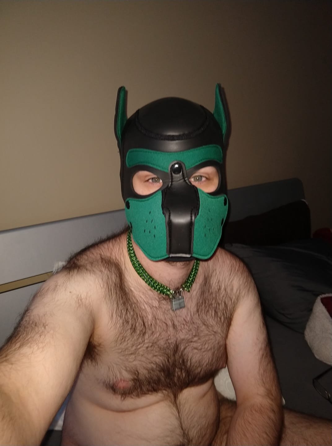 single pup open to adventures. Message me if you'd like to visit your town or come visit me ;)
