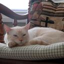 Heather Plante - @Lilevva - Twitter