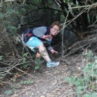 Jack Fox (@jackignatiusfox) 's Twitter Profile