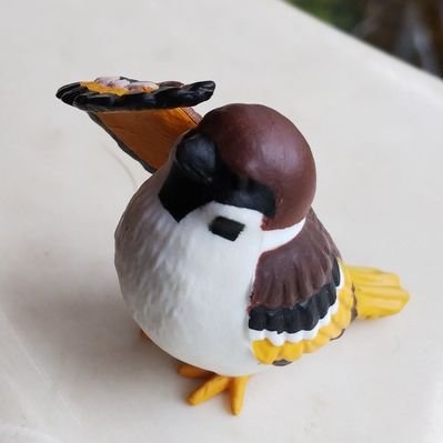 夜守 すっかりメダカ 野良ミナミヌマエビ繁殖容器 野良メダカ2匹添え の掃除をして 容器を分けました エビ10匹くらいだったはずが30匹くらい増えてた 昼寝してから小さい子達の容器掃除しよー ミナミヌマエビ ミナミメダカ 夜守 すっかりメダカ 野良ミナミヌマエビ繁殖容器 野良メダカ2匹添え の掃除をして 容器を分けました エビ10匹くらいだったはずが30匹くらい増えてた 昼寝してから小さい子達の容器掃除しよー ミナミヌマエビ ミナミメダカ
