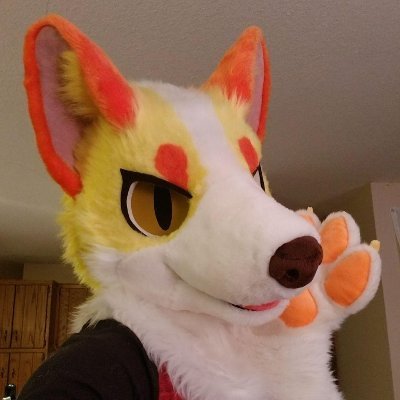 Kohakuさん専用垢 Kohaku Fox (@KohakuFoxy) / Posts / X