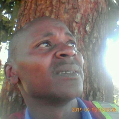 MosesMaigua2's profile picture. good faith,,,