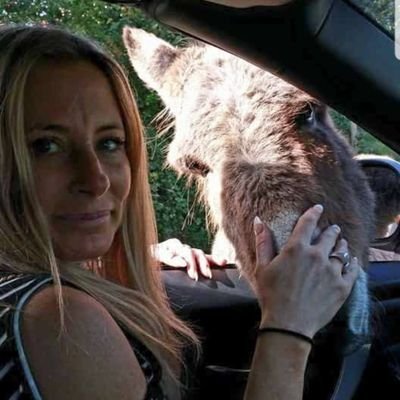 MeadeHeidi's profile picture. 
