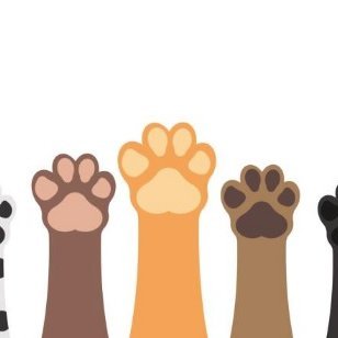 pawsperouspath's profile picture. Supporting education and a brighter future for all ! There are those who inspire and those who create. We support Title-1 students and animal health welfare.