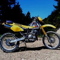 ぽこれ (@pokore424) Twitter profile photo