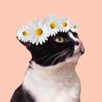 I🎀 (@becozofkhun) 's Twitter Profile Photo I🎀 (@becozofkhun) 's Twitter Profile Photo
