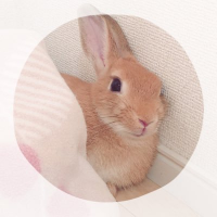 ใใ (@mugi20180301) 's Twitter Profile Photo ใใ (@mugi20180301) 's Twitter Profile Photo
