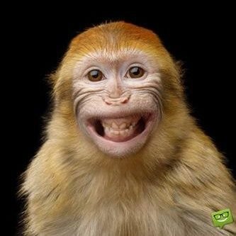 iliana_1's profile picture. ...