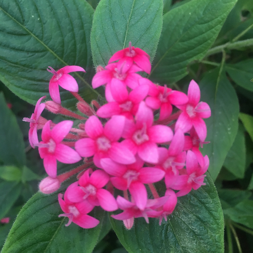 Kittymewslie's profile picture. 