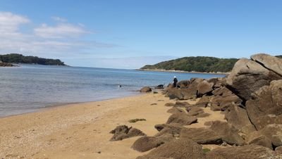 caro_fuhrmann's profile picture. 