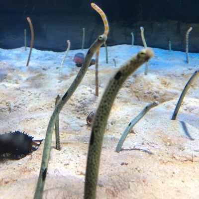 MkpMpgt's profile picture. 