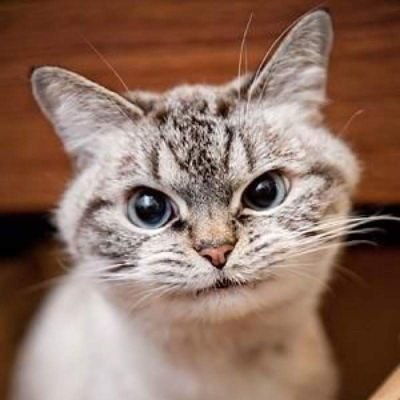 noorhf's profile picture. 