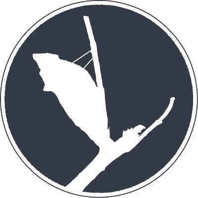 YouTeaOne's profile picture. 