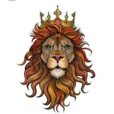 kingmanshow's profile picture. Researcher