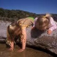 giverm (@giverm770) 's Twitter Profile