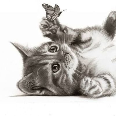 Zora49931315's profile picture. 