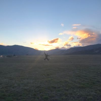 hannahslater98's profile picture. 