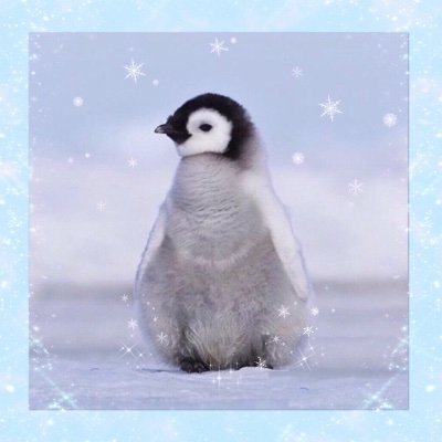 pika022025's profile picture. 