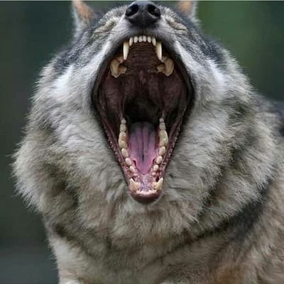 engchuwa's profile picture. Civil engineer / technical director awesome Engineering
deal with: construction of roads, Utilities, equipment hiring and general supply